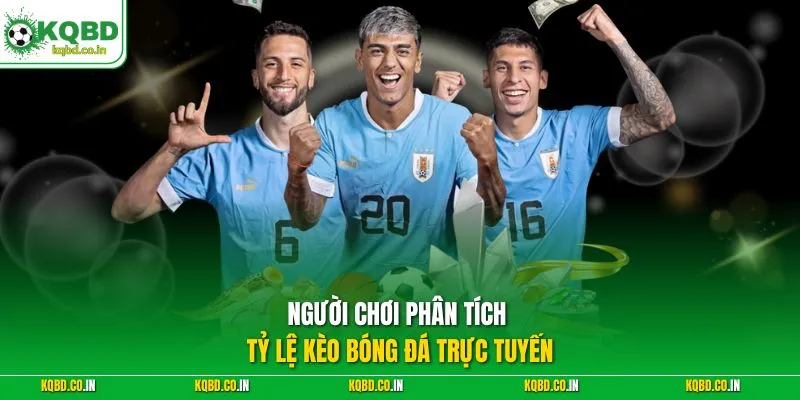 Người chơi phân tích tỷ lệ kèo bóng đá trực tuyến