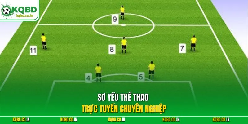 Sơ yếu thể thao trực tuyến chuyên nghiệp